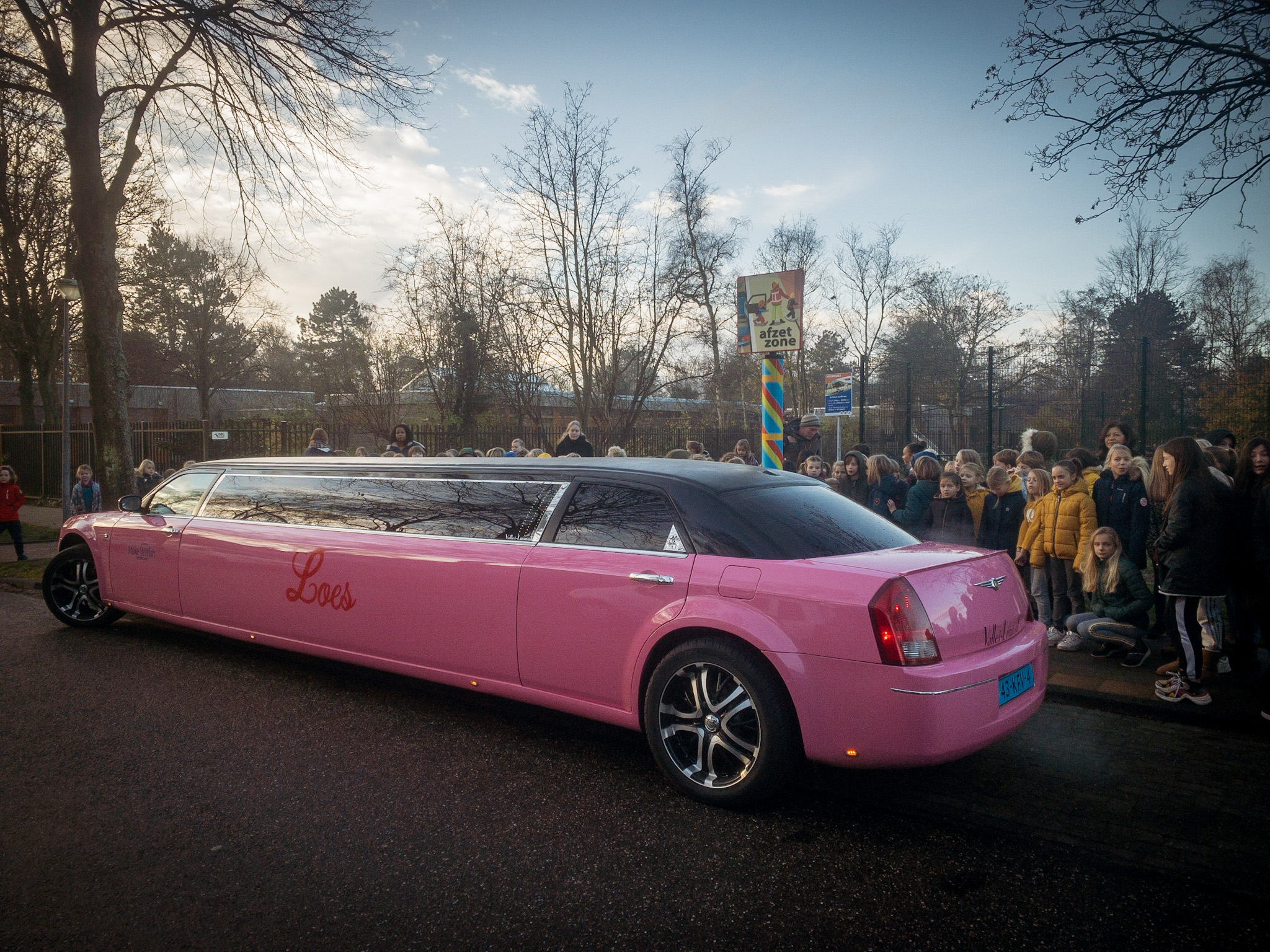 Loes' limo